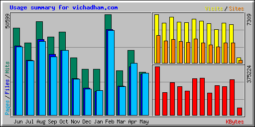 Usage summary for vichadham.com