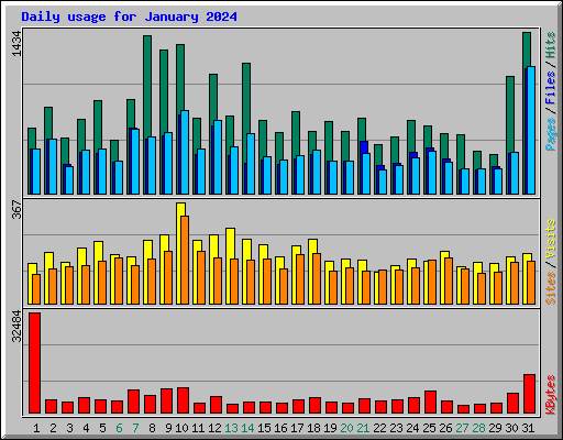 Daily usage for January 2024
