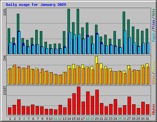 Daily usage for January 2025