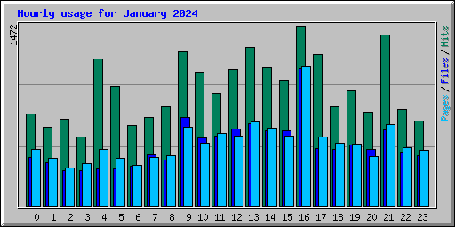Hourly usage for January 2024