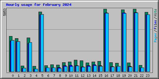 Hourly usage for February 2024