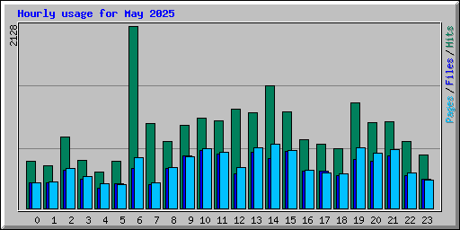 Hourly usage for May 2025