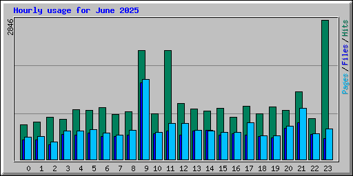Hourly usage for June 2025