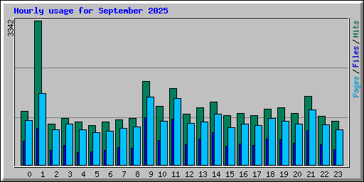Hourly usage for September 2025