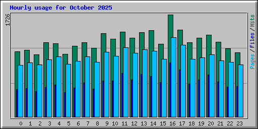 Hourly usage for October 2025